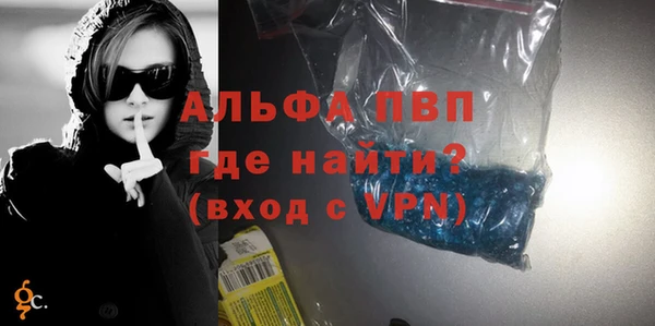 мдпв Гусев