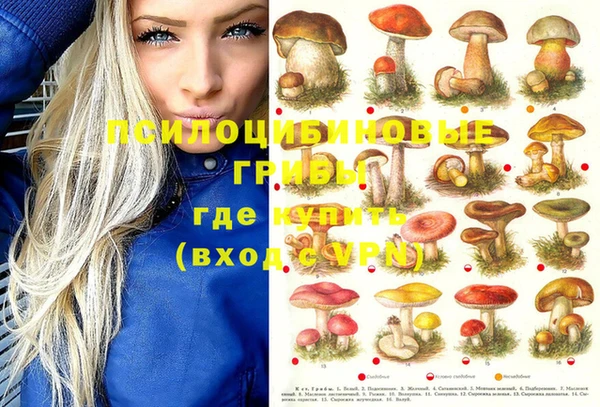 MESCALINE Ельня