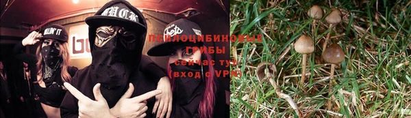 таблы Дмитриев