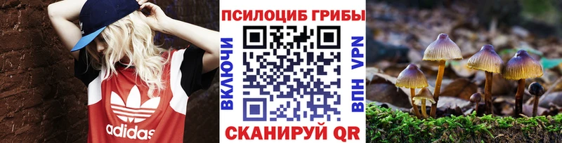 Галлюциногенные грибы GOLDEN TEACHER Пятигорск