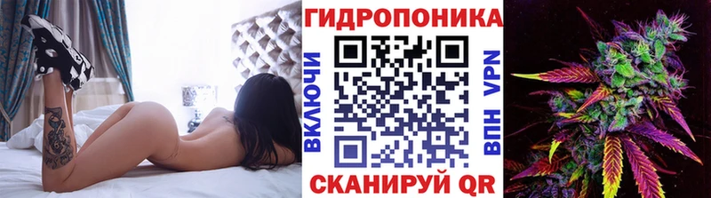 Бошки Шишки план  MEGA вход  Пятигорск 